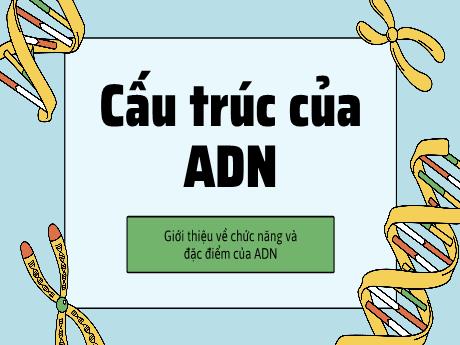 Mẫu Powerpoint thuyết trình Sinh học cho học sinh